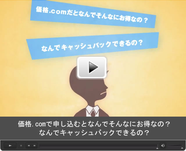 ���i.com�v���o�C�_��r�������ȗ��R