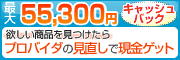 �v���o�C�_��r